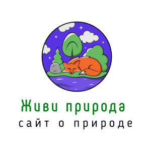 Живи природа