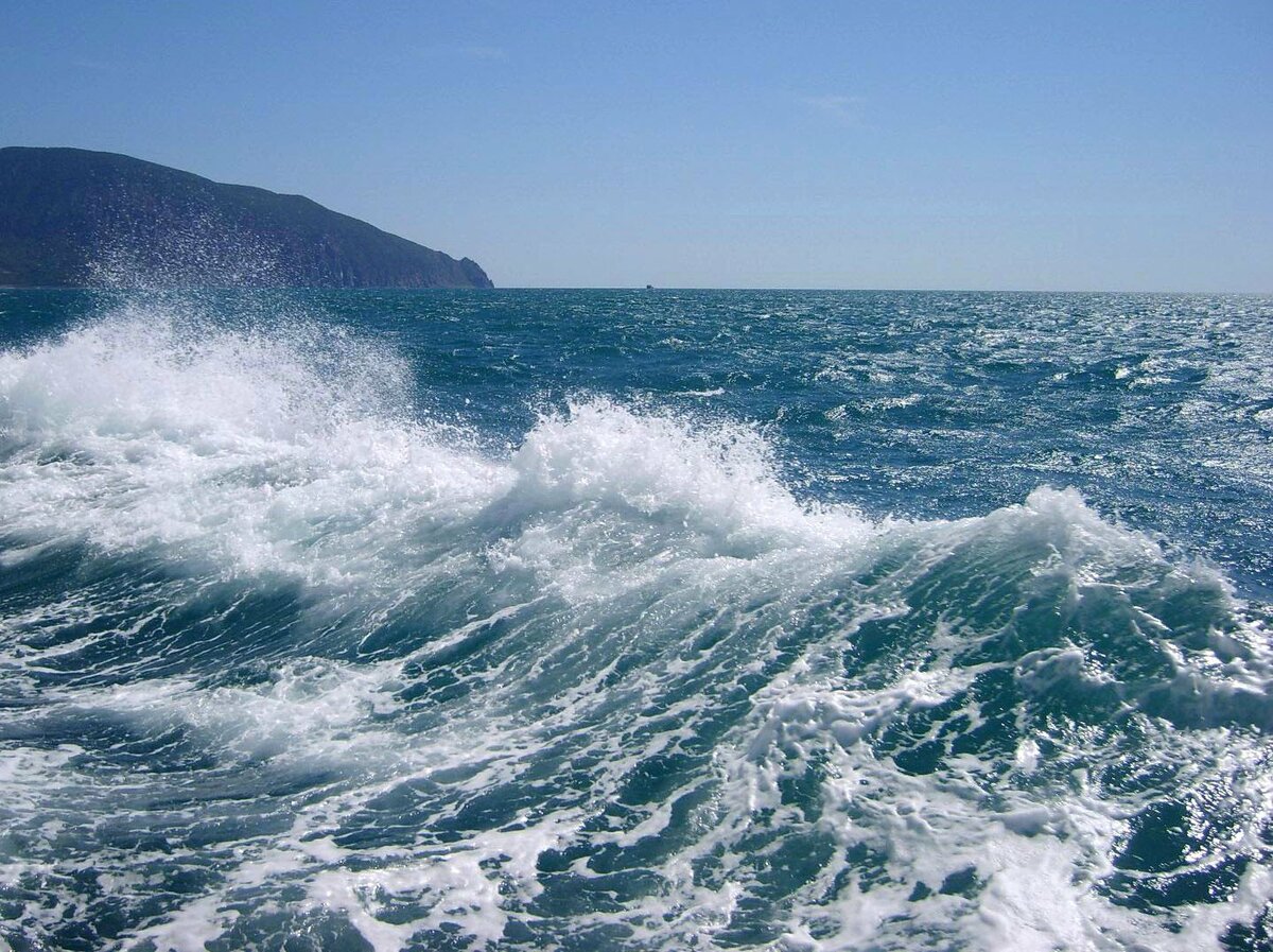 О чёрном море